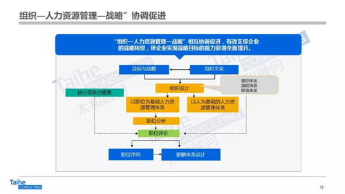 構建以網絡技術開發為驅動的人力資源管理體系，助力企業實現跨越式發展